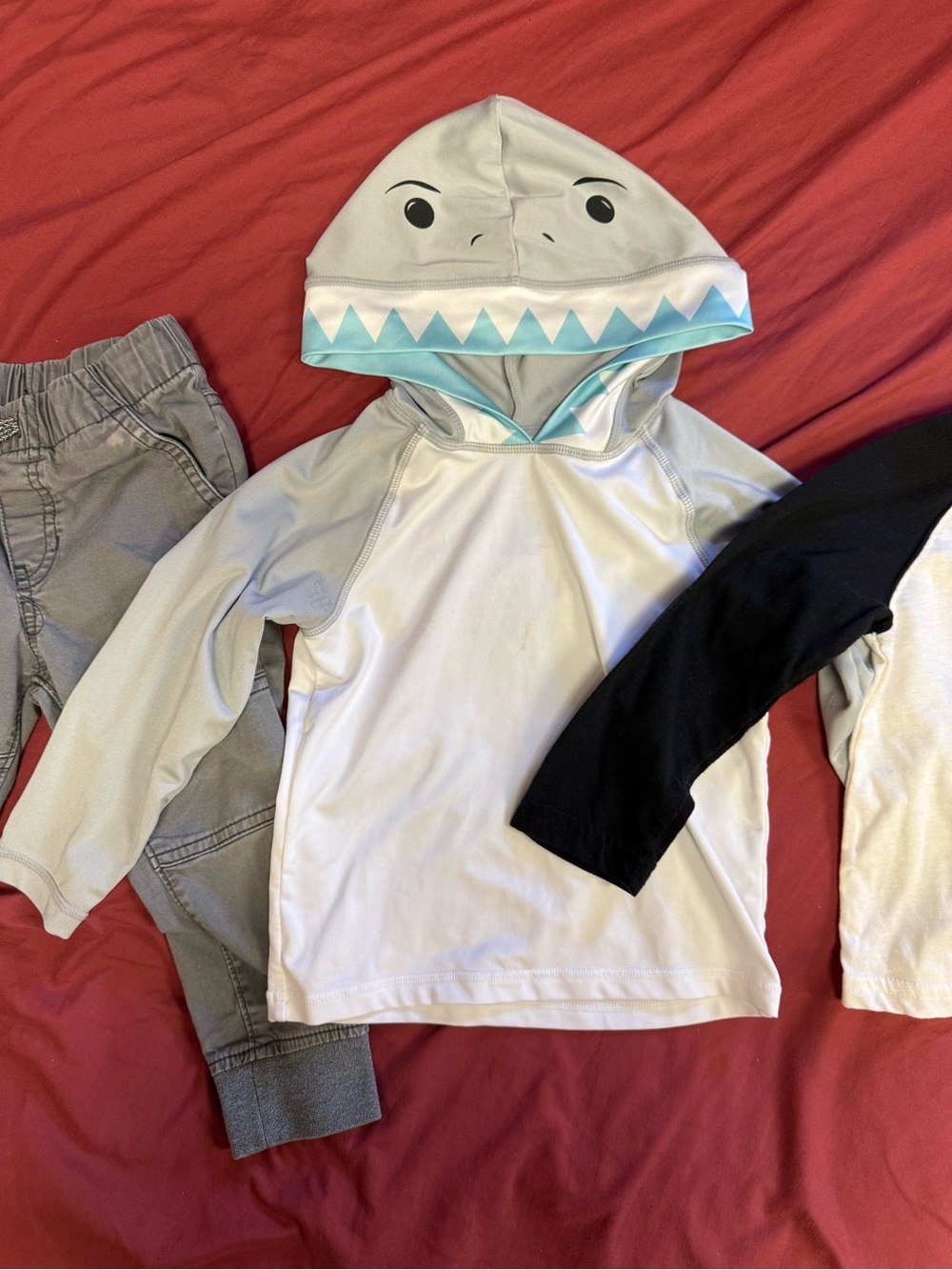 Sz 2T clothes 4 item bundle, shirts, pants - Picture 5 of 6